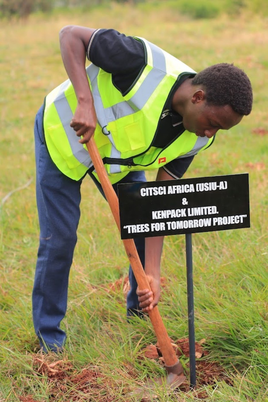 Kenpack team tree-planting to support renewable timber for pallets