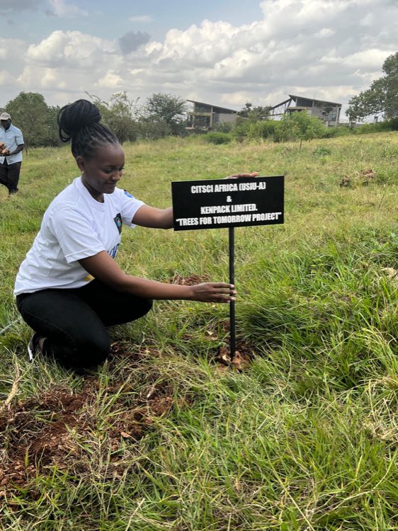 Tree seedlings planted to support sustainable packaging