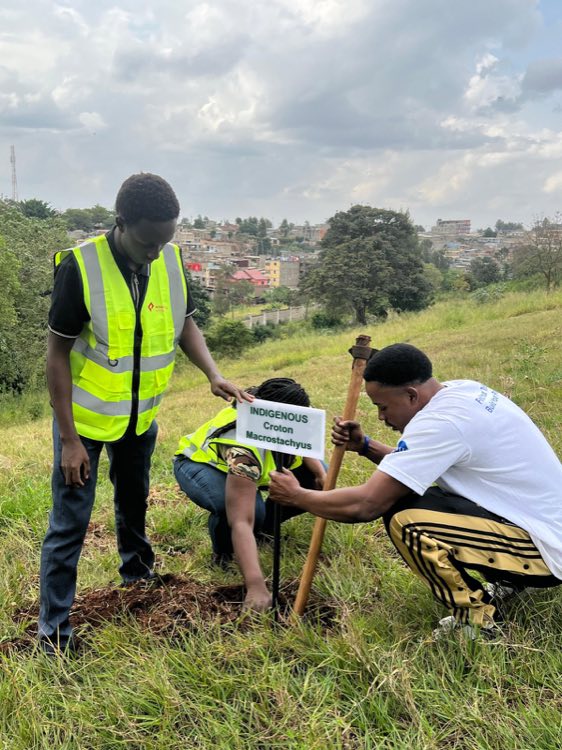 Tree-planting day supporting renewable timber for packaging