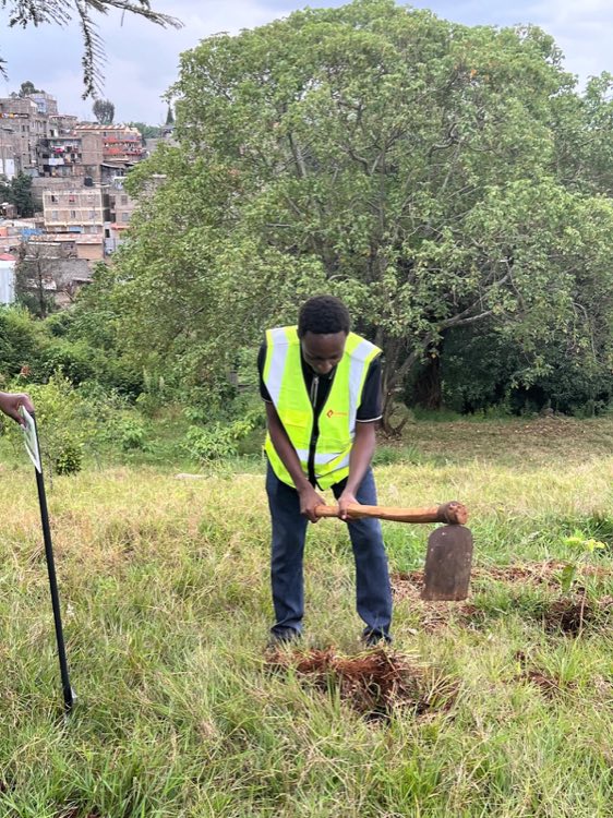 Kenpack tree-planting initiative for sustainable packaging