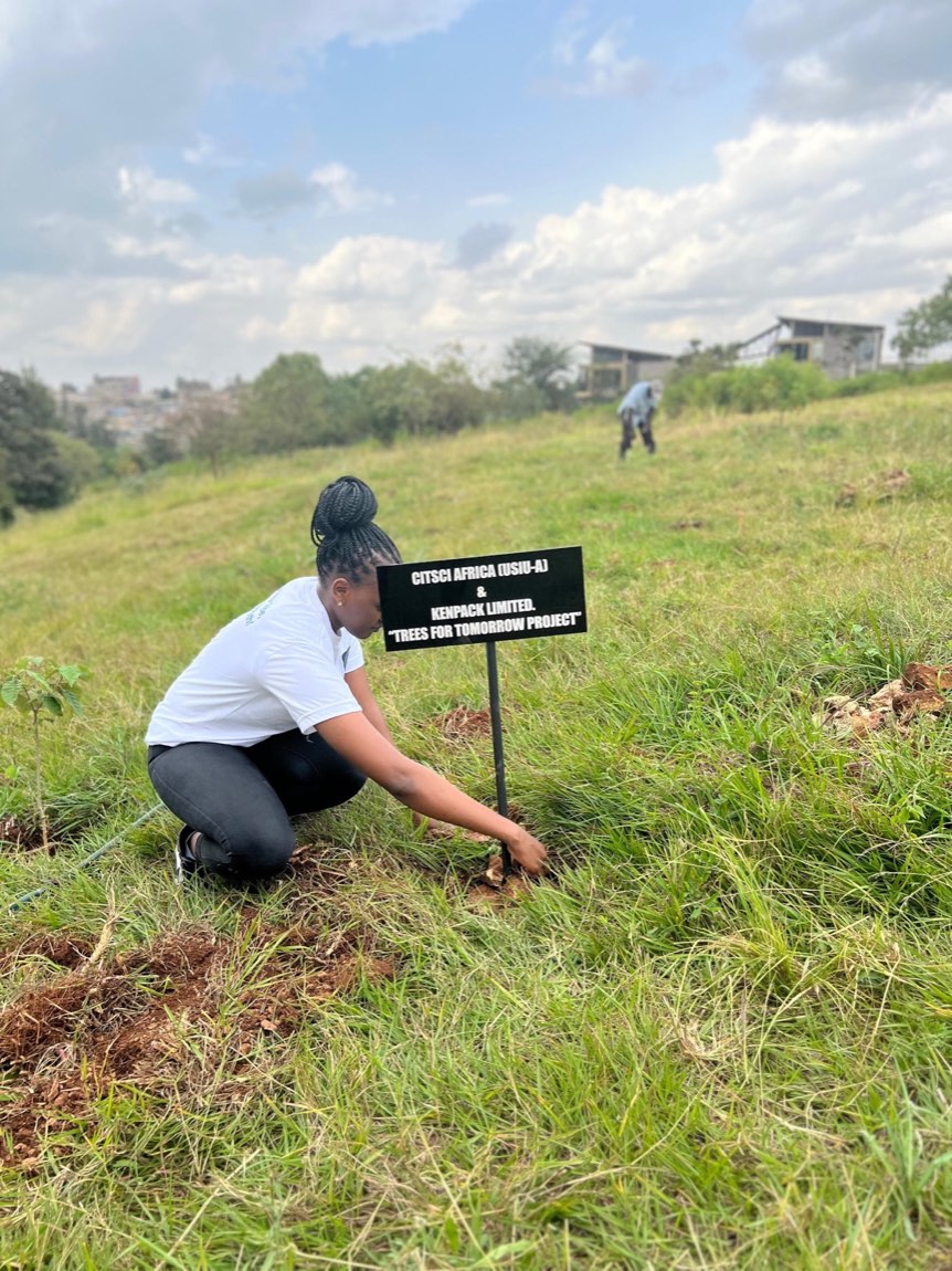 A Trees for Tomorrow planting site