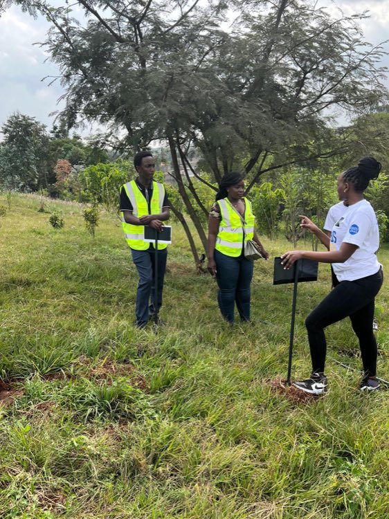 Community tree-planting backing Kenpack's renewable-resources mission