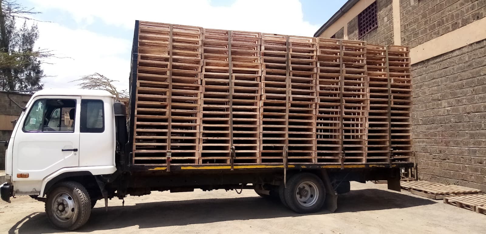 Why heat-treated pallets clear customs — and untreated ones don't